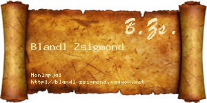 Blandl Zsigmond névjegykártya