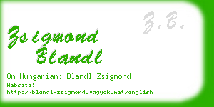 zsigmond blandl business card